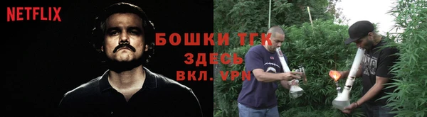сатива Волосово
