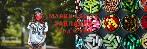 тгк Володарск