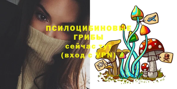 сатива Волосово