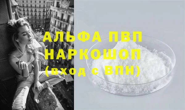 тгк Володарск