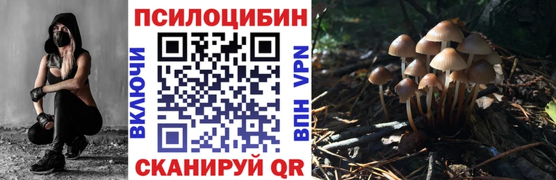 где купить наркотик  Железногорск  Галлюциногенные грибы мицелий 