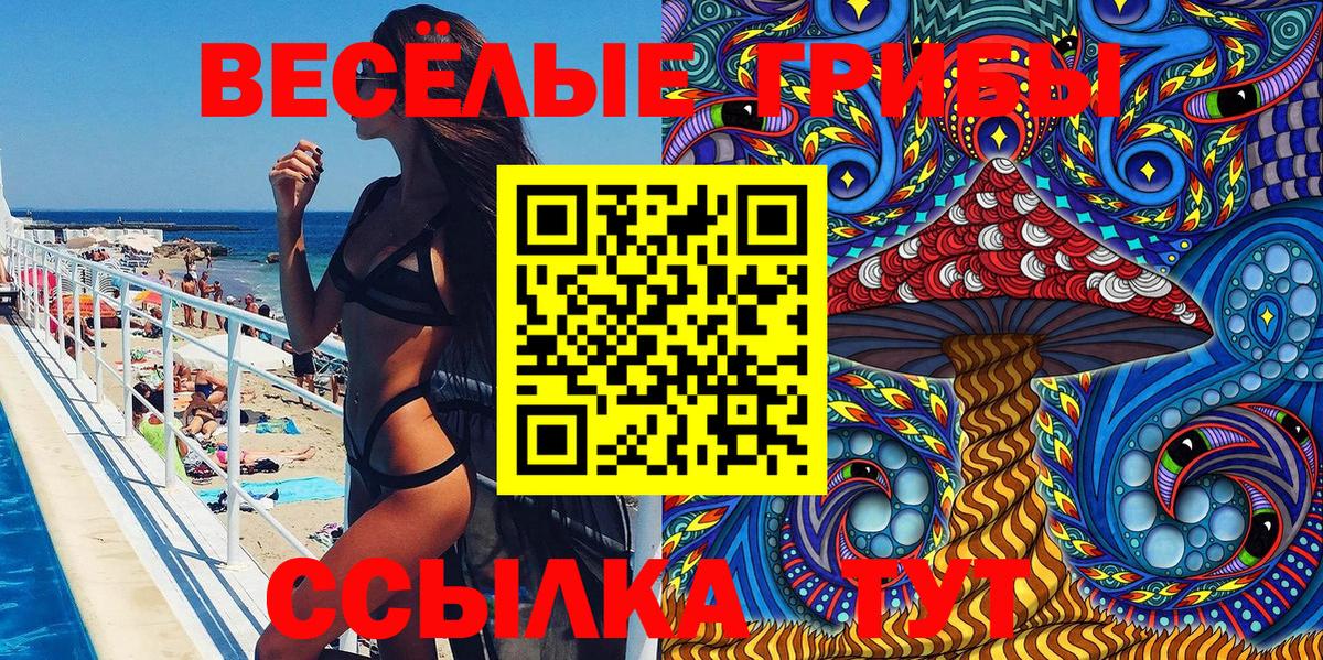 Псилоцибиновые грибы Psilocybe Железногорск