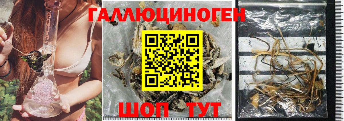 где купить наркоту  Вход с VPN  Железногорск  Псилоцибиновые грибы Magic Shrooms 